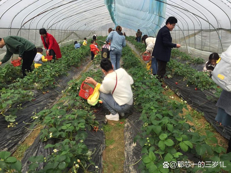邻水家庭农场