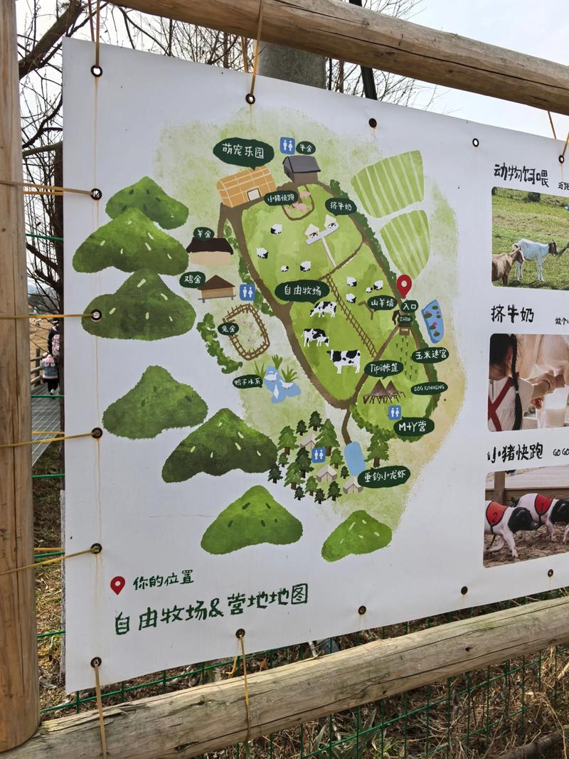 亲子农场体验